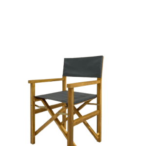 Foldable Director Chair